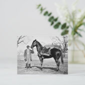 Carte Postale Un cheval nommé Cincinnati, 1865 (Debout devant)