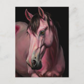 Carte Postale Un Cheval Rose (Devant)