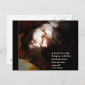 Carte Postale Un chien... (Devant / Derrière)