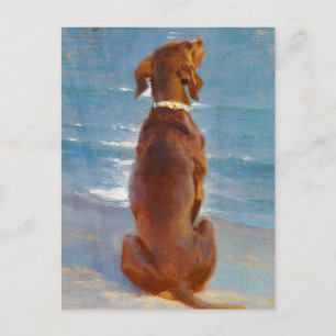Carte Postale Un chien brun assis par P.S. Kroyer