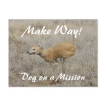 Un chien en mission