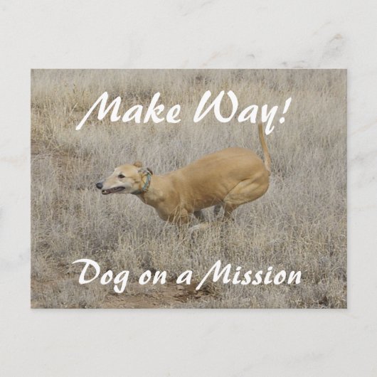 Carte Postale Un chien en mission (Devant)