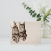 Carte Postale Un chien pattes (Debout devant)