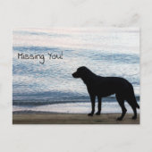 Carte Postale Un chien solitaire avec le message "Missing You" (Devant)