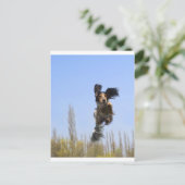 Carte Postale Un chien volant ! (Debout devant)