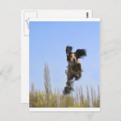 Carte Postale Un chien volant ! (Devant / Derrière)
