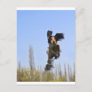 Carte Postale Un chien volant !