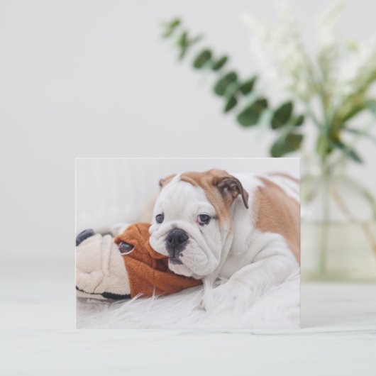 Carte Postale Un Chiot-Chien Anglais Qui Joue Avec Un Chien-Ciel (Debout devant)