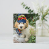 Carte Postale Un Chiot De Cavacon Doux Dans Un Casquette D'Hiver (Debout devant)