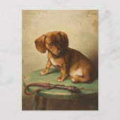 Carte Postale Un chiot teckel | Carl Reichert (Devant)