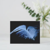 Carte Postale Un chuchotement d'une plume (Debout devant)