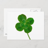 Carte Postale Un Clocher à quatre feuilles (Devant / Derrière)