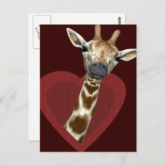 Carte Postale Un Coeur Pour Les Giraffes (Devant / Derrière)