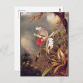 Carte Postale Un colibri d'Améthyste avec une orchidée blanche (Devant / Derrière)