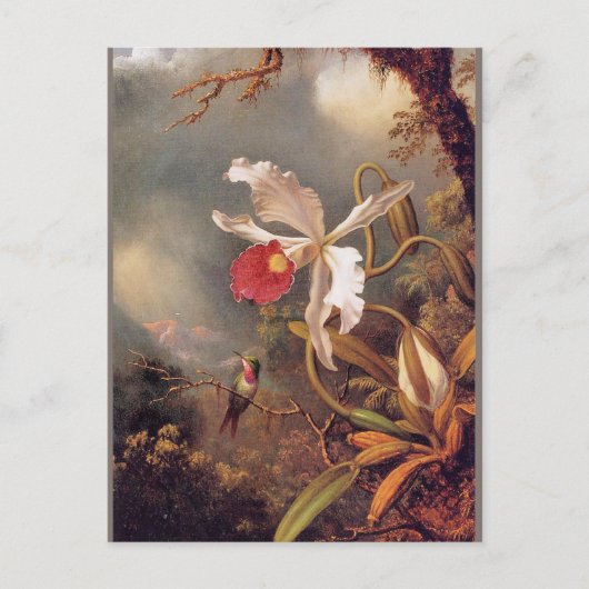 Carte Postale Un colibri d'Améthyste avec une orchidée blanche (Devant)