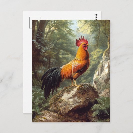 Carte Postale Un coq dans un paysage de jungle (Devant / Derrière)