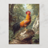 Carte Postale Un coq dans un paysage de jungle (Devant)
