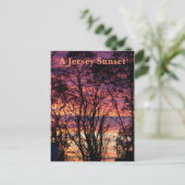 Carte Postale Un coucher de soleil à Jersey (Debout devant)