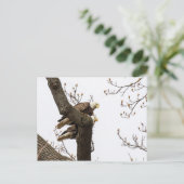 Carte Postale Un couple d'aigle heureux (Debout devant)