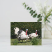 Carte Postale Un couple turc (Debout devant)