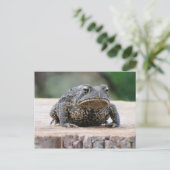 Carte Postale Un crapaud sur une tige d'arbre (Debout devant)