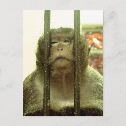 Carte Postale Un de ces jours.... (Devant)