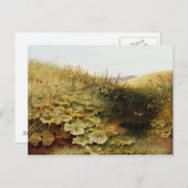 Carte Postale Un Dell tranquille (Devant / Derrière)