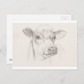 Carte Postale Un dessin d'une jeune vache (Devant / Derrière)