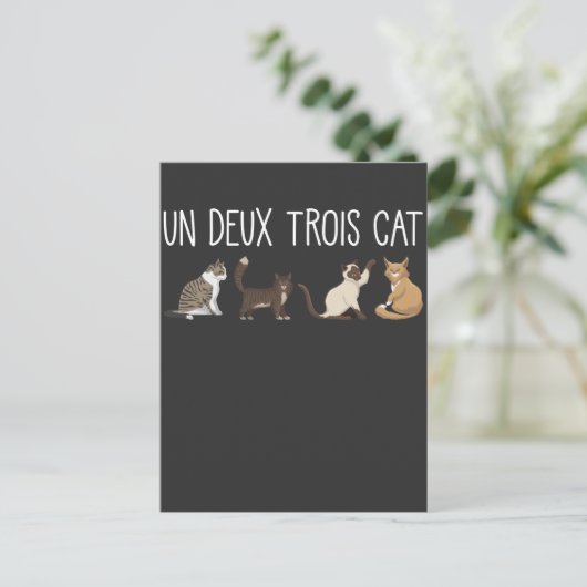 Carte Postale Un Deux Trois Cat French Pun Kitty Humour Animaux (Debout devant)