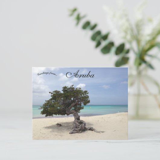 Carte Postale Un Divi Divi Tree sur Eagle Beach à Aruba (Debout devant)