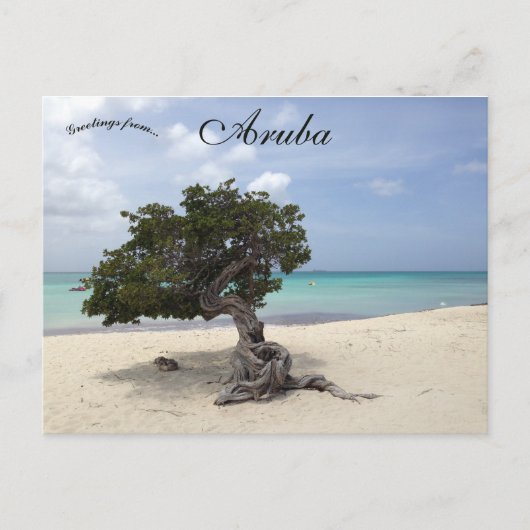 Carte Postale Un Divi Divi Tree sur Eagle Beach à Aruba (Devant)