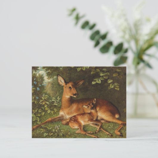 Carte Postale Un Doe avec la face | Carl Schweninger, Jr. (Debout devant)