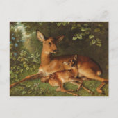 Carte Postale Un Doe avec la face | Carl Schweninger, Jr. (Devant)