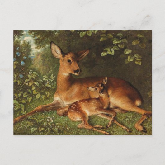 Carte Postale Un Doe avec la face | Carl Schweninger, Jr. (Devant)