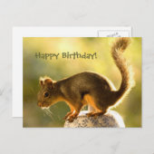 Carte Postale Un écureuil mignon sur un bocal à biscuits (Devant / Derrière)