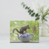 Carte Postale Un écureuil sur une théière (Debout devant)