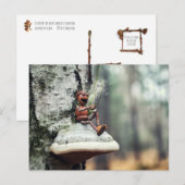 Carte Postale Un elfe de cacre boit du café (Devant / Derrière)