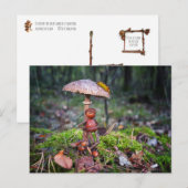 Carte Postale Un elfe de cacre se cache sous un champignon avec (Devant / Derrière)