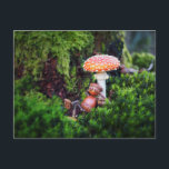 Carte Postale Un elfe de cacre se repose sous un champignon<br><div class="desc">Un elfe de cacre se repose sous un champignon - carte postale amusante</div>