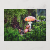 Un elfe de cacre se repose sous un champignon