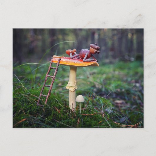 Carte Postale Un elfe de cacre se repose sur un champignon (Devant)