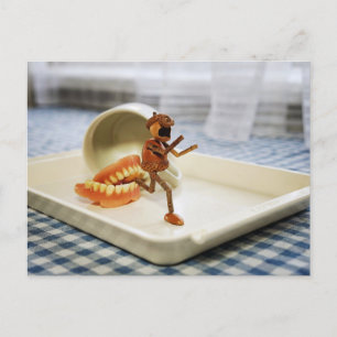 Carte Postale Un elfe de cacre s'enfuit d'un ensemble de fausses