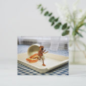 Carte Postale Un elfe de cacre s'enfuit d'un ensemble de fausses (Debout devant)