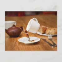 Un elfe de glands boit mon café !