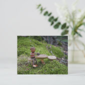 Carte Postale Un elfe de glands dans un café forestier ! (Debout devant)