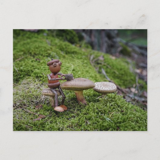 Carte Postale Un elfe de glands dans un café forestier ! (Devant)