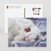 Carte Postale Un elfe de maïs avec le chat (Devant / Derrière)