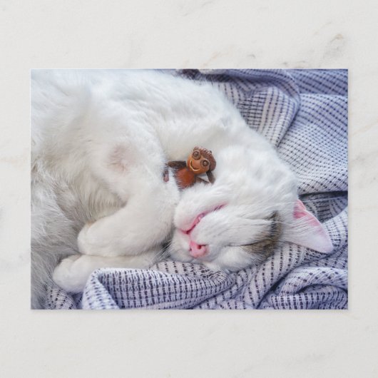 Carte Postale Un elfe de maïs avec le chat (Devant)