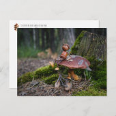 Carte Postale Un elfe de maïs avec un vélo reposant sur un champ (Devant / Derrière)