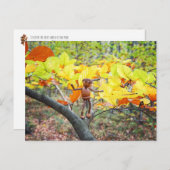 Carte Postale Un elfe de maïs sur un hêtre automne (Devant / Derrière)